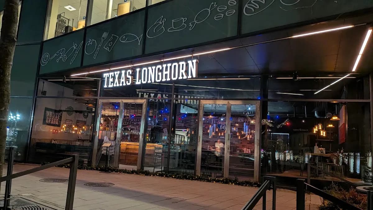 Texas Longhorn Lund