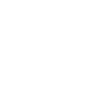 The Grand Indian